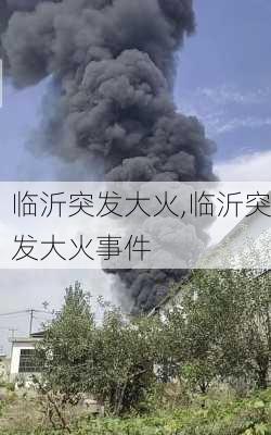 临沂突发大火,临沂突发大火事件