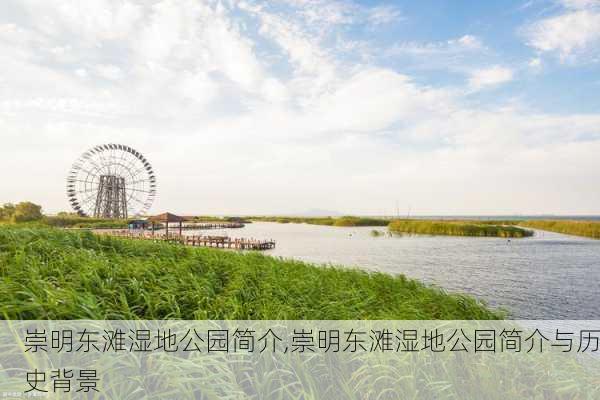 崇明东滩湿地公园简介,崇明东滩湿地公园简介与历史背景