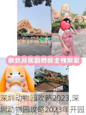 深圳动物园攻略2023,深圳动物园攻略2023年开园