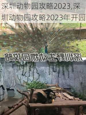 深圳动物园攻略2023,深圳动物园攻略2023年开园