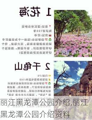 丽江黑龙潭公园介绍,丽江黑龙潭公园介绍资料