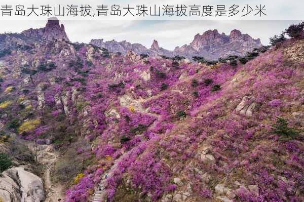 青岛大珠山海拔,青岛大珠山海拔高度是多少米