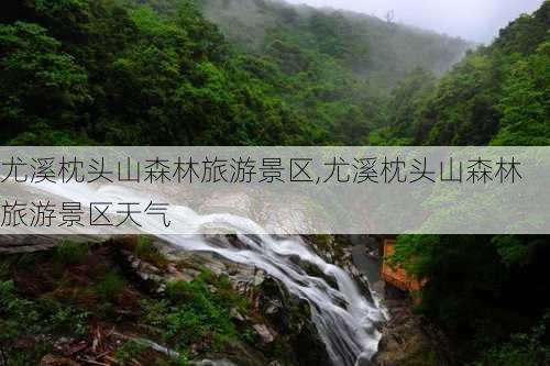 尤溪枕头山森林旅游景区,尤溪枕头山森林旅游景区天气